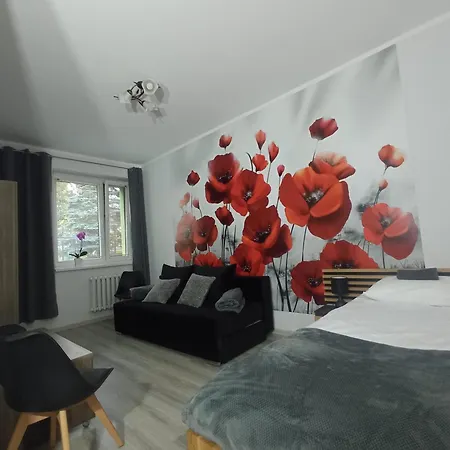 Agroturystyka Magnolia Appartamento *